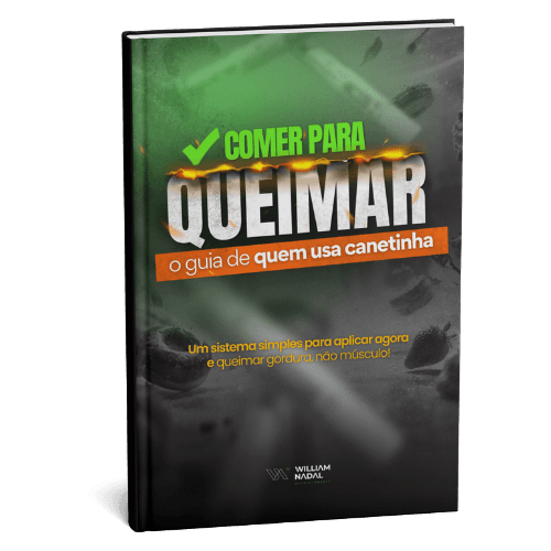 Guia Comer para Queimar — capa do livro digital